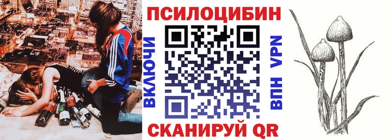 Галлюциногенные грибы прущие грибы  Северобайкальск 