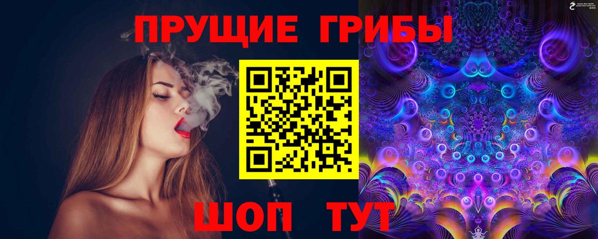 Северобайкальск  Псилоцибиновые грибы прущие грибы  Галлюциногенные грибы Psilocybine cubensis  Вход с VPN 